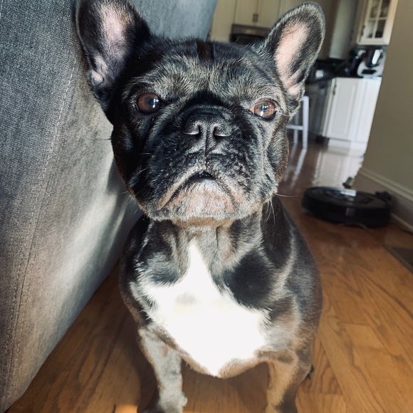 ❤️Welcome! I’m Matilda!!❤️ - Picture 12 of 12